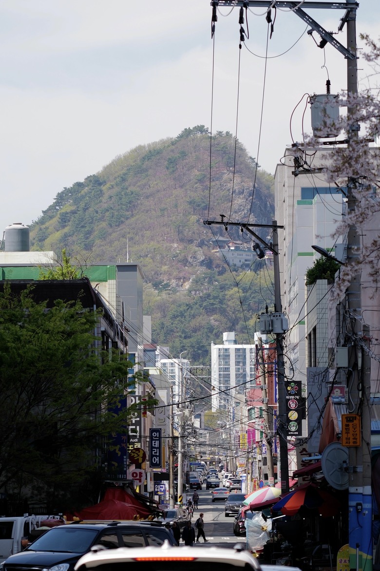 釜山賞櫻員工旅遊(上)