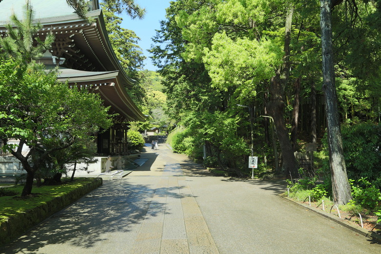 [關東] そうだ、鎌倉、横浜、箱根へ行こう。