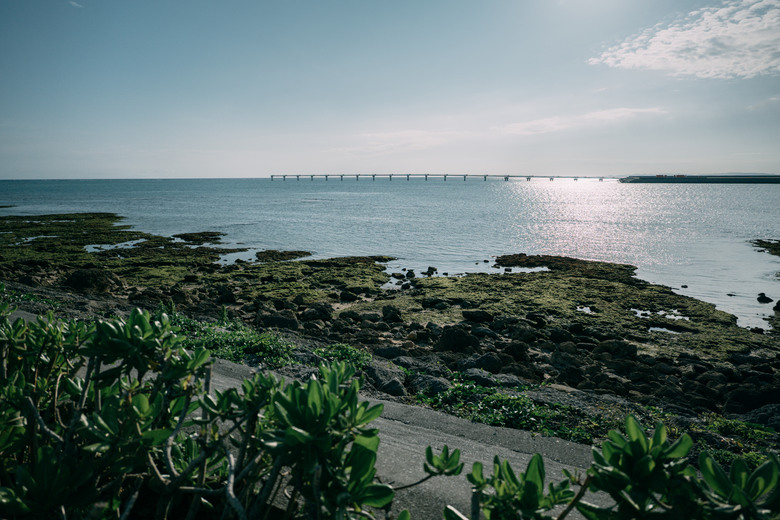 SIGMA 20-200mm DG 沖繩隨筆