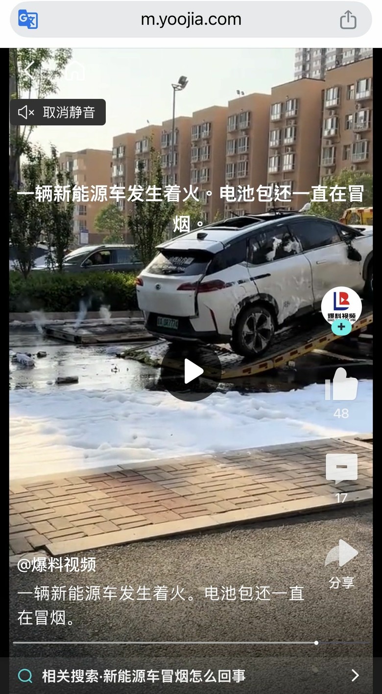 從年頭燒到年尾的中國新能源車