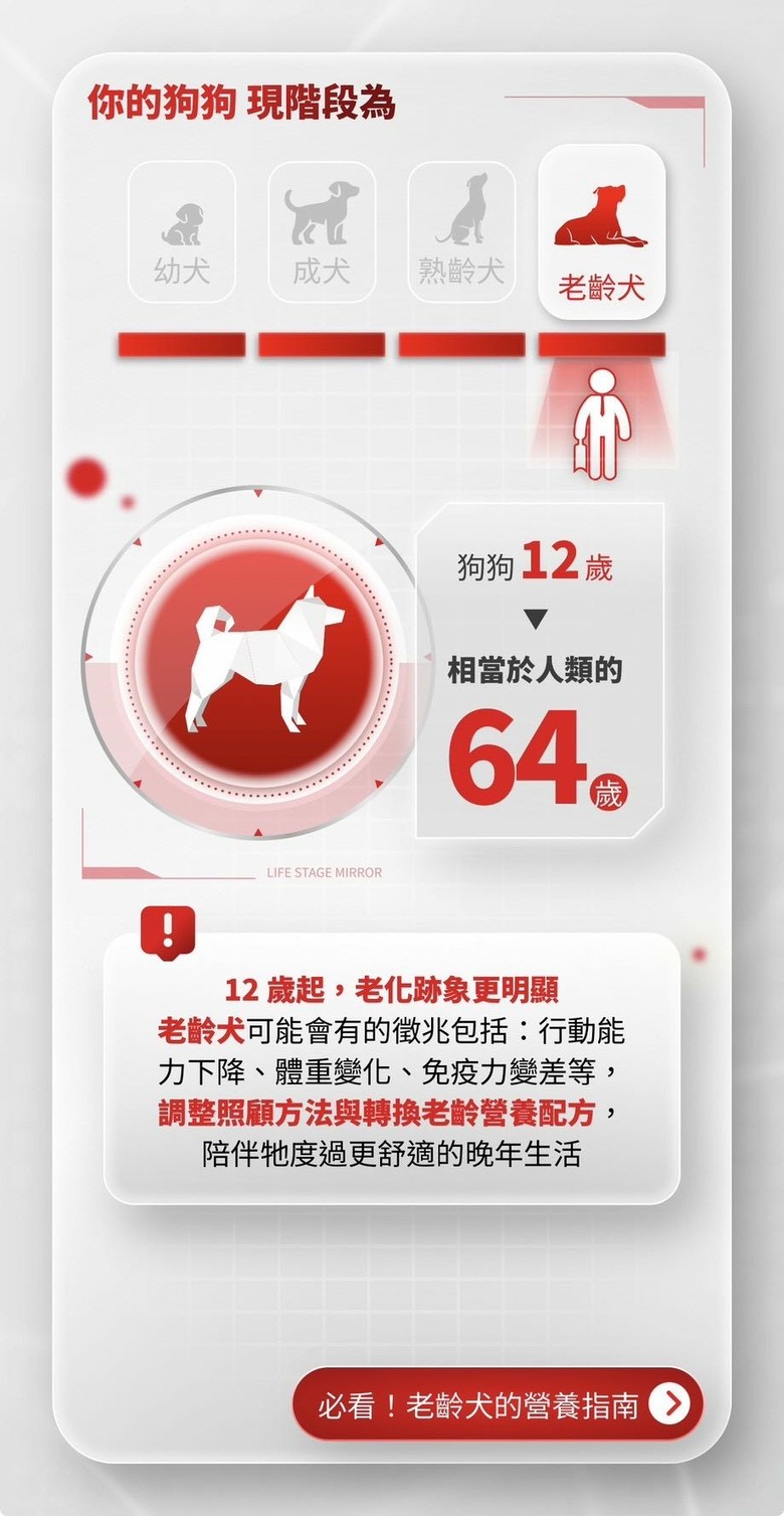 從小吃皇家飼料吃到大~12歲健康長壽老狗勾
