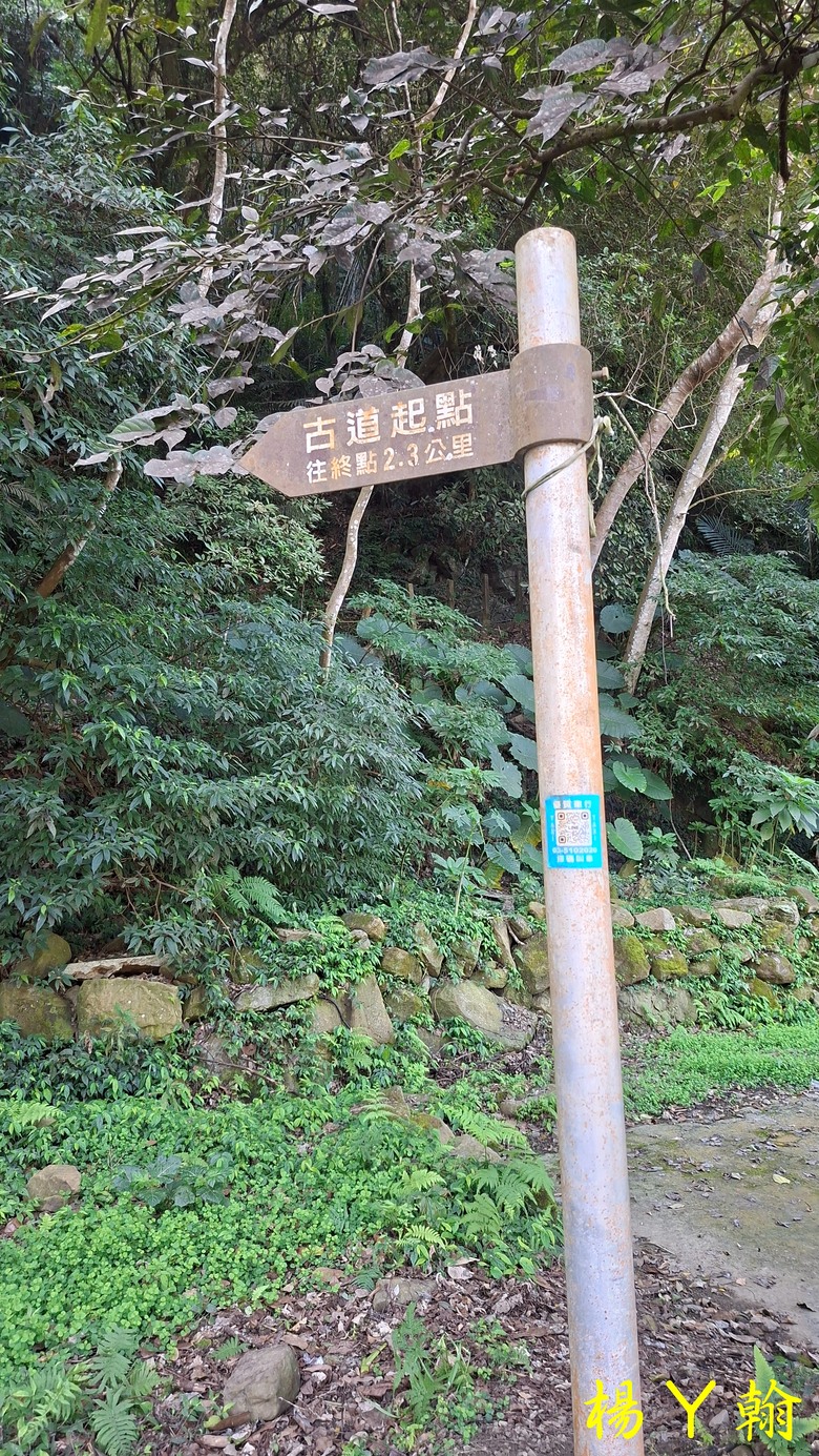 【郊山走走】馬胎古道、馬胎二期古道、南坪古道 山林輕鬆健行