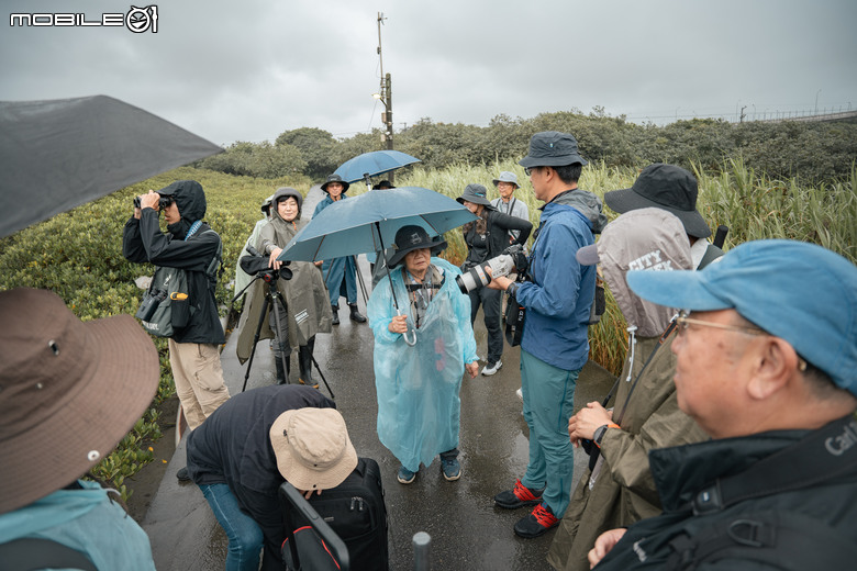 煙雨濛濛的驚豔之美:與海外歸國友人的挖仔尾賞鳥活動 SFL 50
