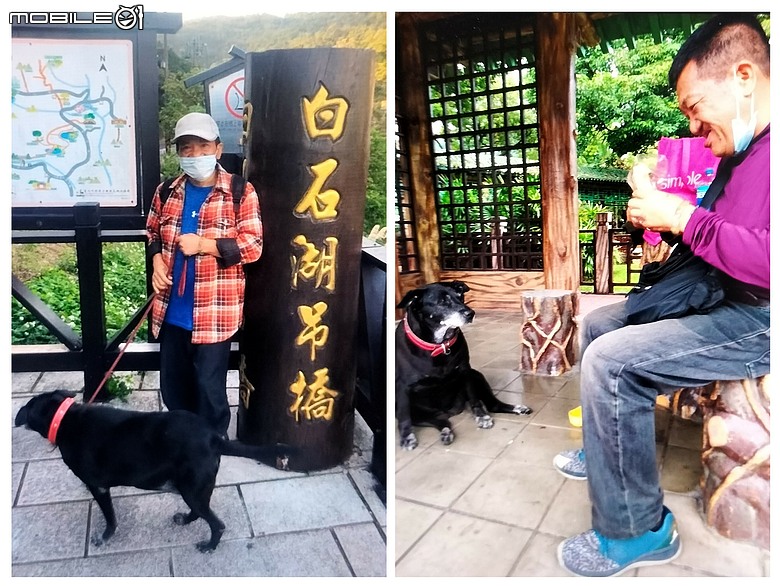 點我看大圖 黑龍在天~緬懷天堂的阿龍、小黑