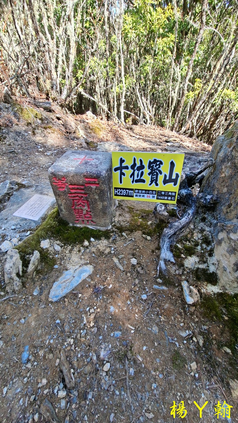 【台灣小百岳】開車比爬山時間還久的小百岳 — 卡拉寶山、碧綠神木