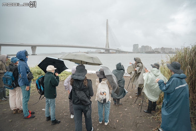 煙雨濛濛的驚豔之美:與海外歸國友人的挖仔尾賞鳥活動 SFL 50