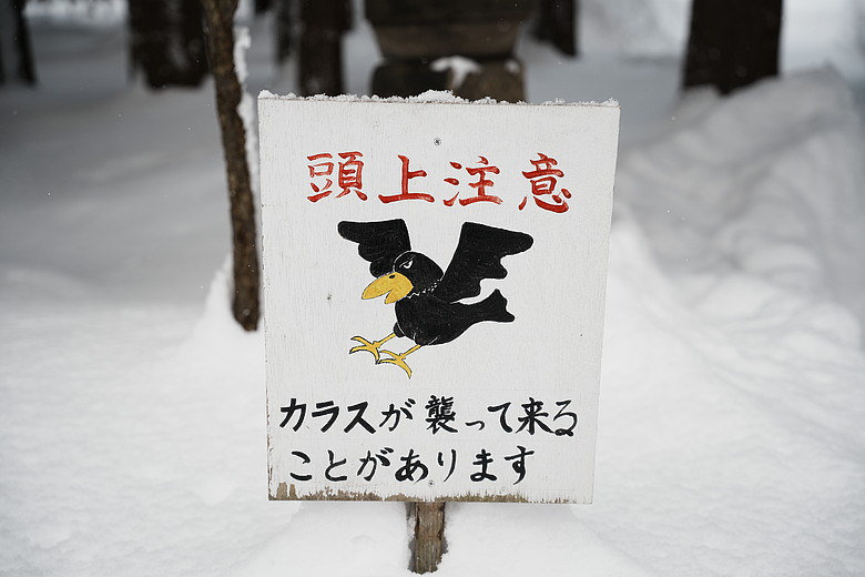 點我看大圖 2026 北海道12天小蜜月 (終)『暴風雪裡的余市蒸餾所 & 北海道唯一米其林三星法餐』