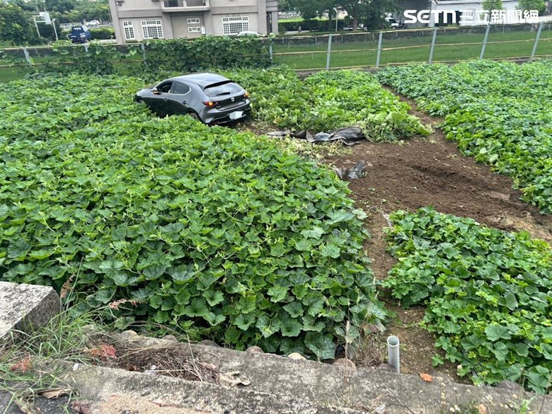 苗栗 酒駕汽車要去🎃田中，但是不需要切西瓜🍉吧。