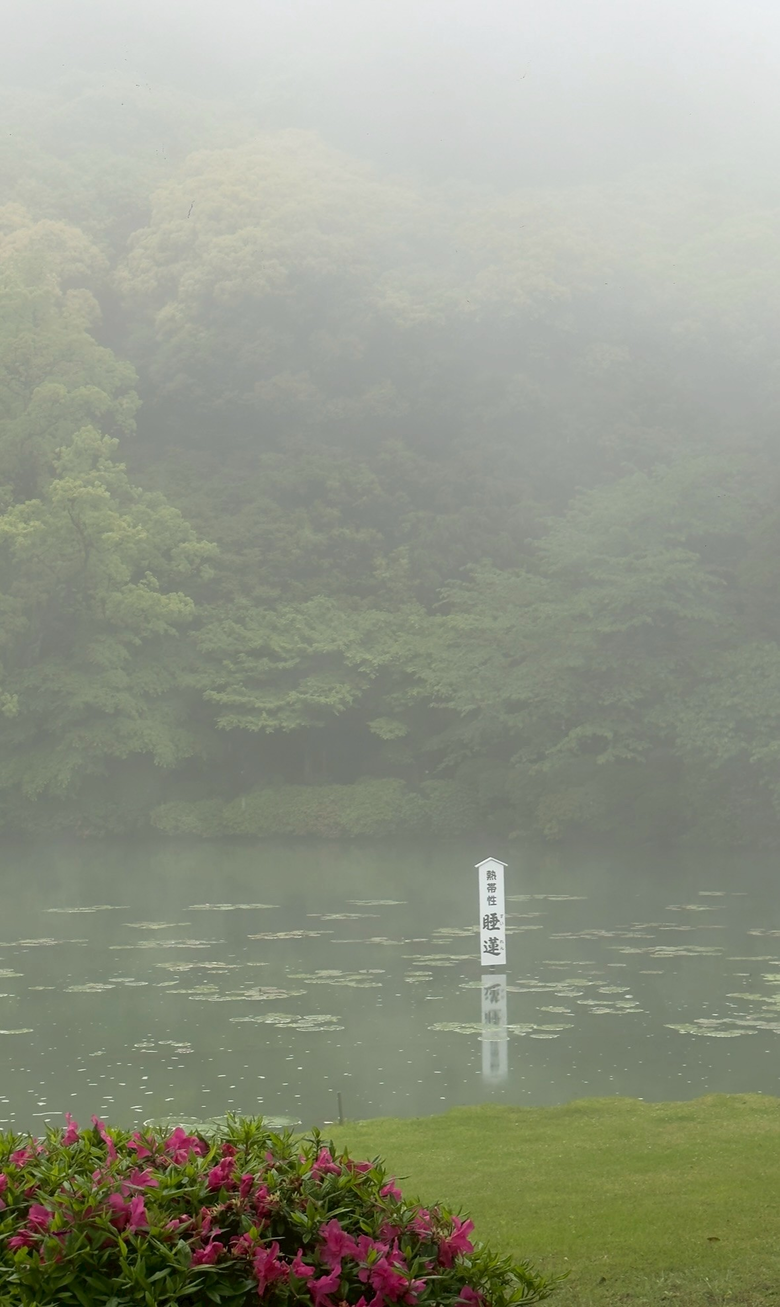 北九州之旅 -福岡篇｜ 別府、阿蘇、熊本城，好吃好玩超滿足