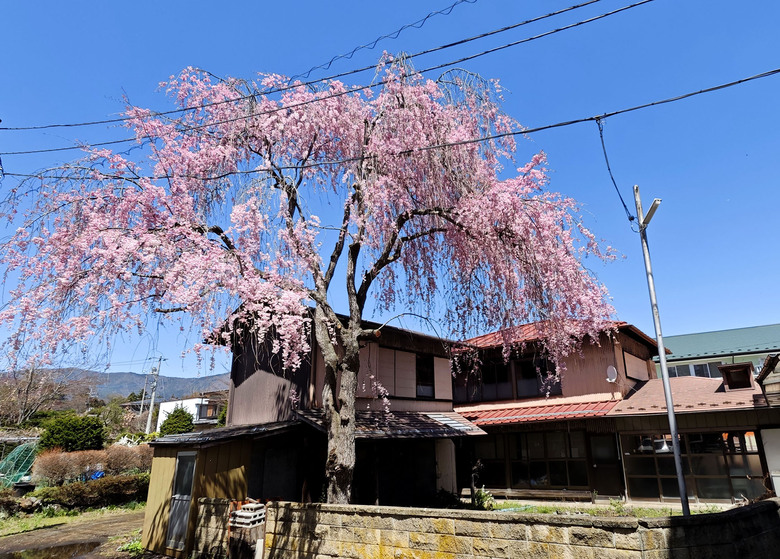 帶著小米14u去旅行_富士山下的雙湖慢旅