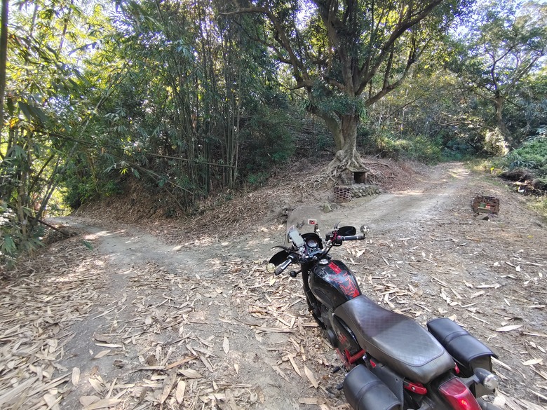大野狼穿越環島(二)-六龜-杉林經典穿越