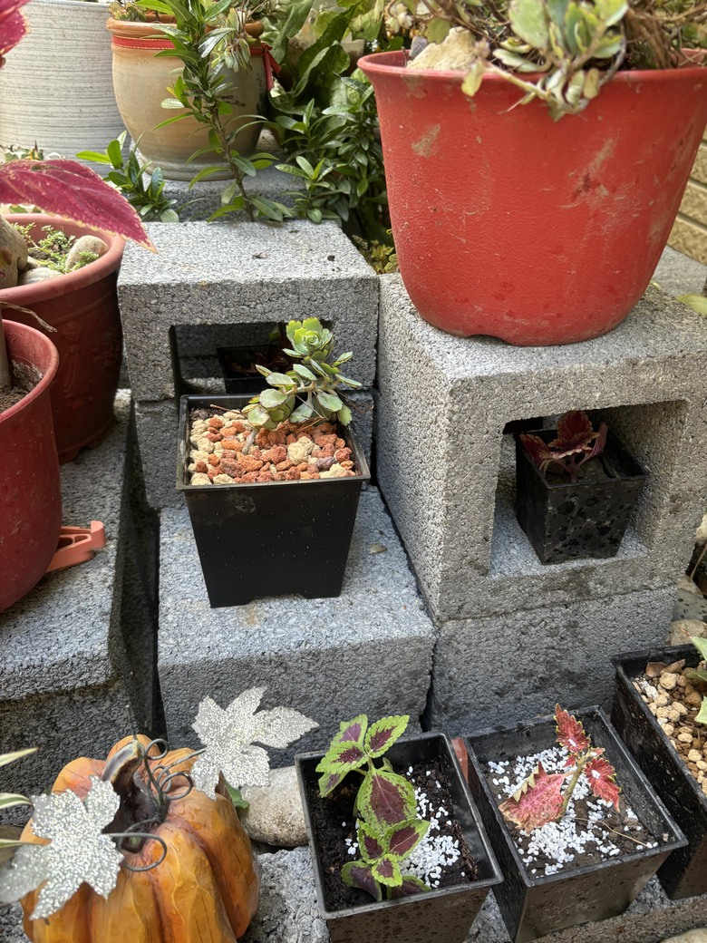 休假時就是搞東搞西搞園藝