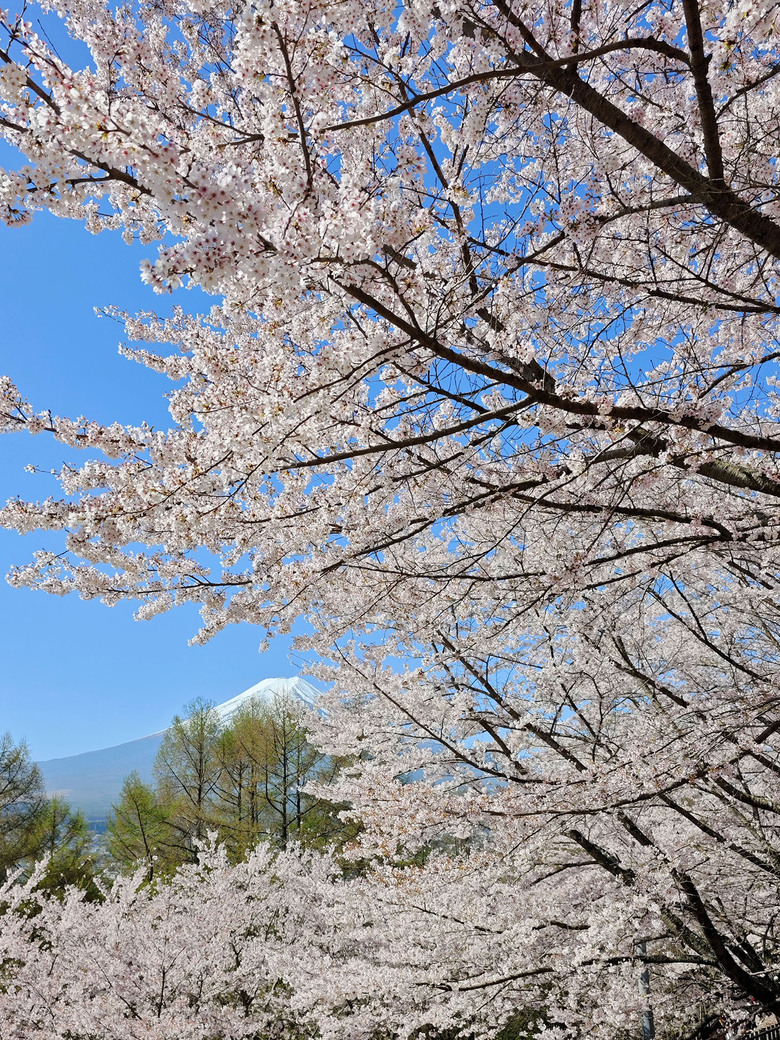 帶著小米14u去旅行_富士山下的雙湖慢旅