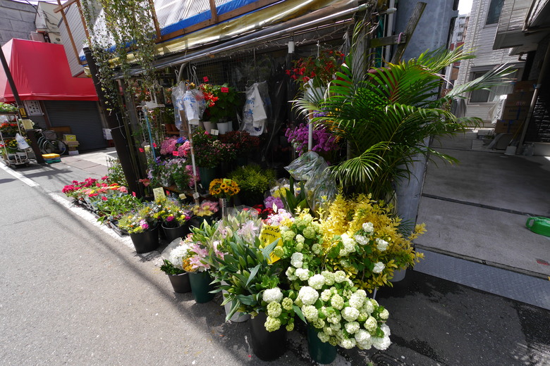 谷中銀座 西日暮里漫遊