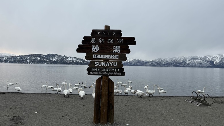 北海道八天七夜道央道東自駕遊 （中）