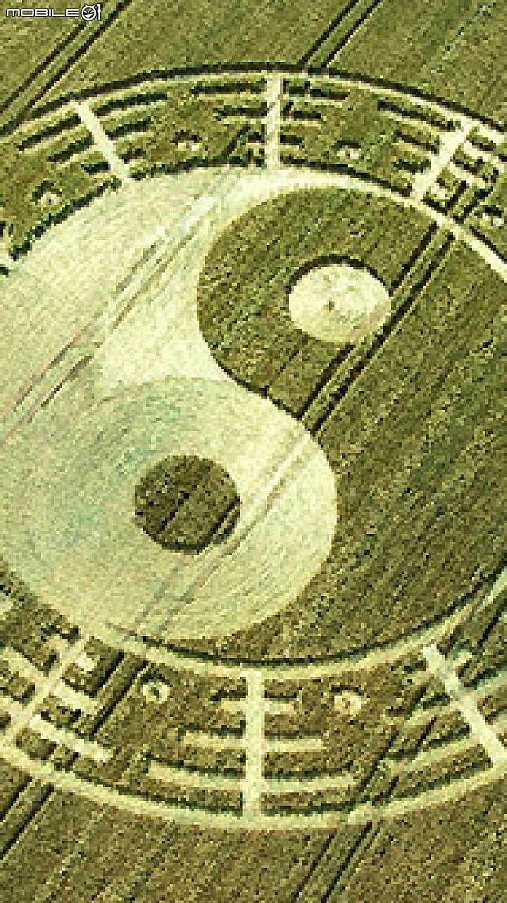 生活體悟八：贊助愛心餐，我+1