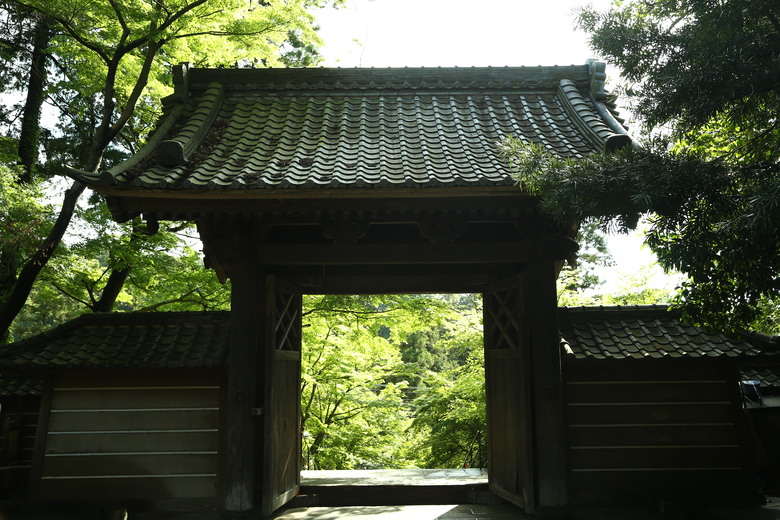 [關東] そうだ、鎌倉、横浜、箱根へ行こう。