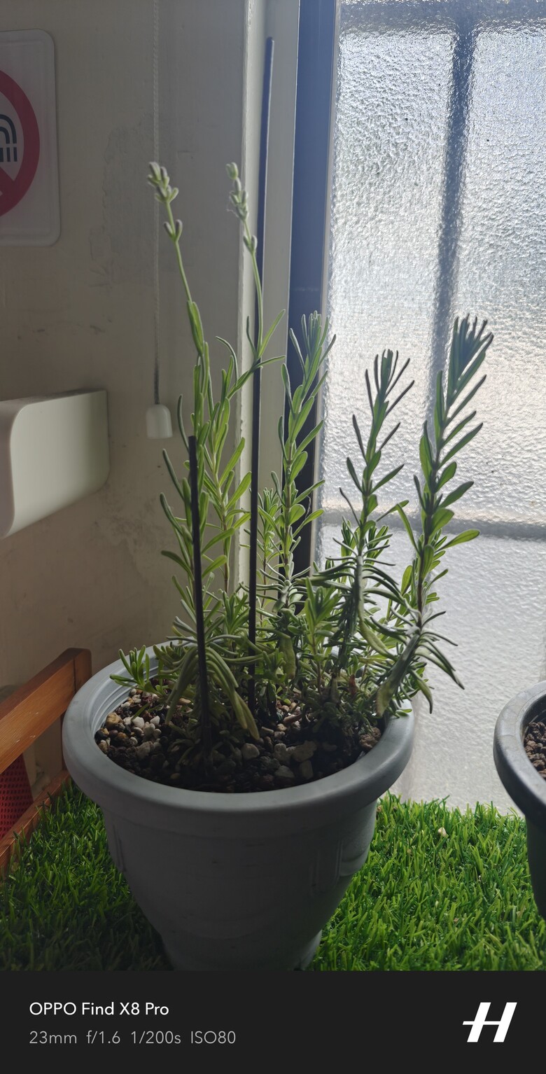 點我看大圖
