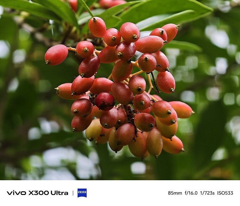 vivo X300 Ultra 評測報告｜不僅效能封頂、更是影像超旗艦！