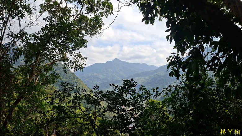 【郊山走走】馬胎古道、馬胎二期古道、南坪古道 山林輕鬆健行