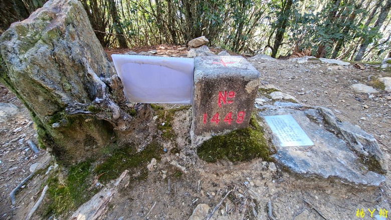 【台灣小百岳】開車比爬山時間還久的小百岳 — 卡拉寶山、碧綠神木