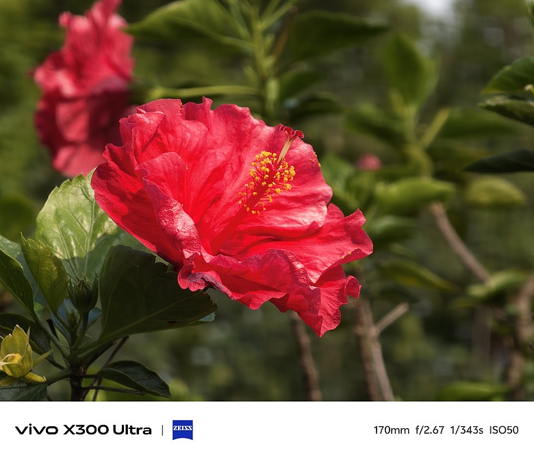 vivo X300 Ultra 評測報告｜不僅效能封頂、更是影像超旗艦！