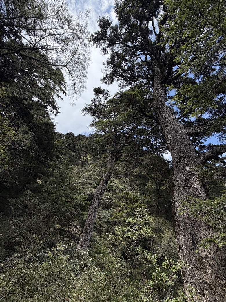 能高越嶺西段之美 ⛰️