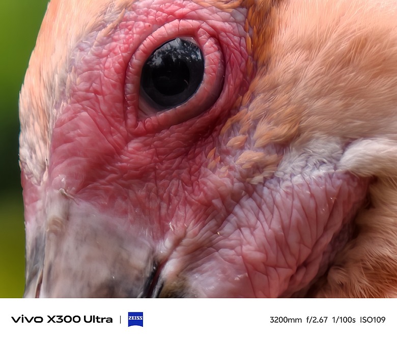 vivo X300 Ultra 評測報告｜不僅效能封頂、更是影像超旗艦！
