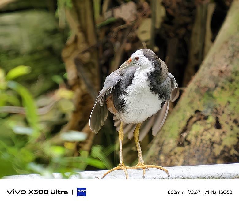 vivo X300 Ultra 評測報告｜不僅效能封頂、更是影像超旗艦！