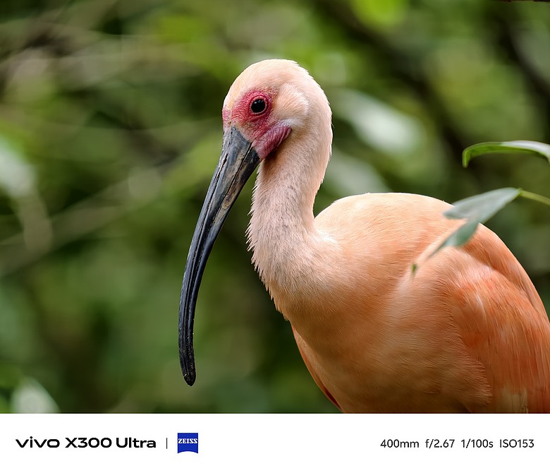 vivo X300 Ultra 評測報告｜不僅效能封頂、更是影像超旗艦！