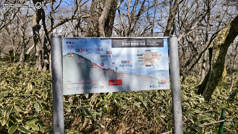 南韓最高峰 | 白雪漢拏山 |濟州島登山行程