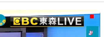 【心得】我以為 OLED 烙印是都市傳說，直到 EBC 永遠住進我的螢幕裡