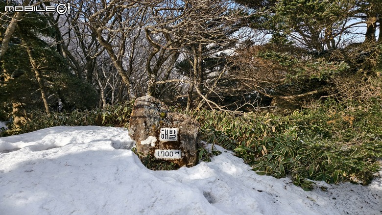 南韓最高峰 | 白雪漢拏山 |濟州島登山行程