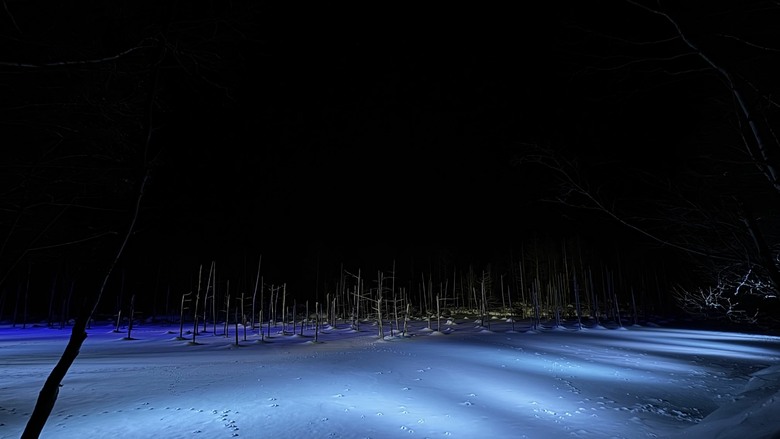 北海道八天七夜道央道東自駕遊 （中）