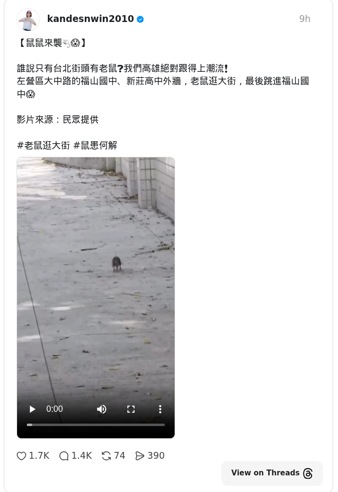 高雄左營大中路發現「民主老鼠」影片曝 青鳥崩潰