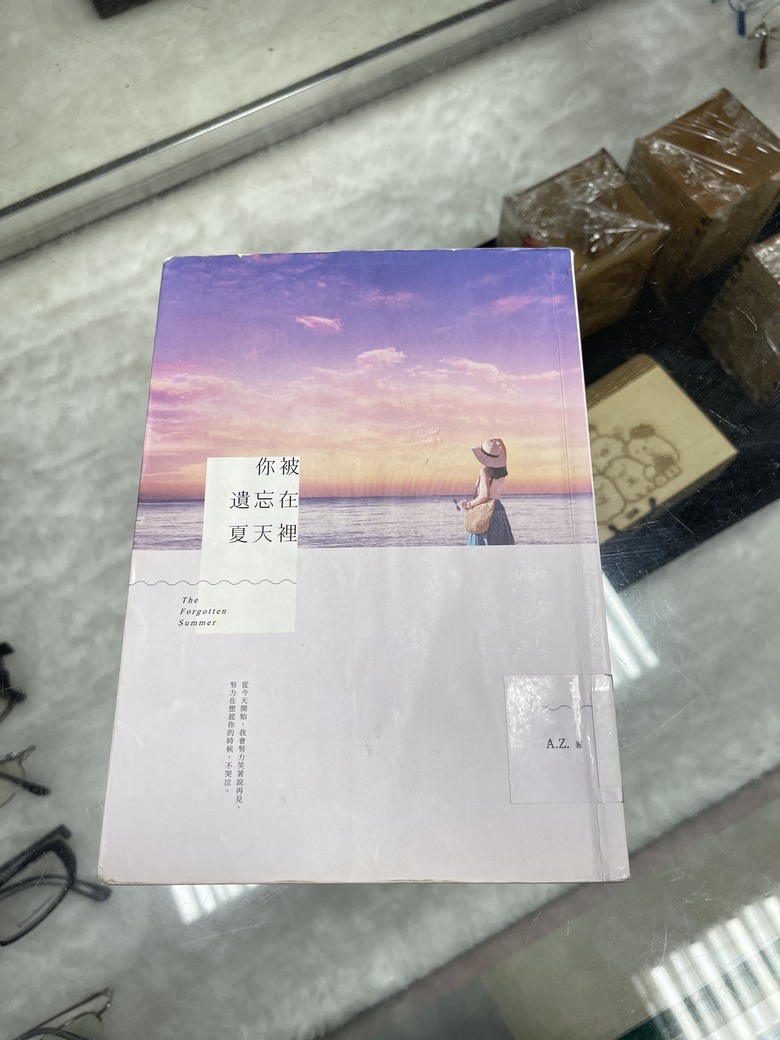 讀書心得.....你被遺忘在夏天裡