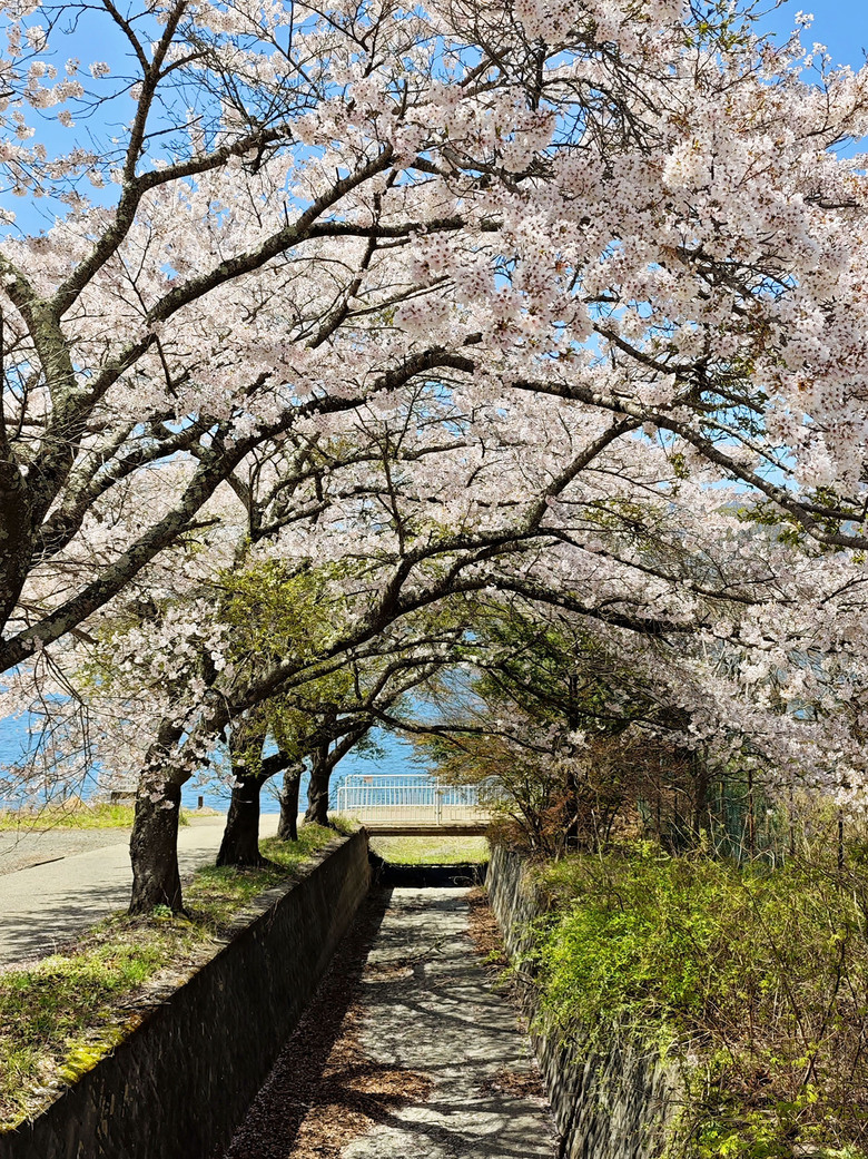 帶著小米14u去旅行_富士山下的雙湖慢旅