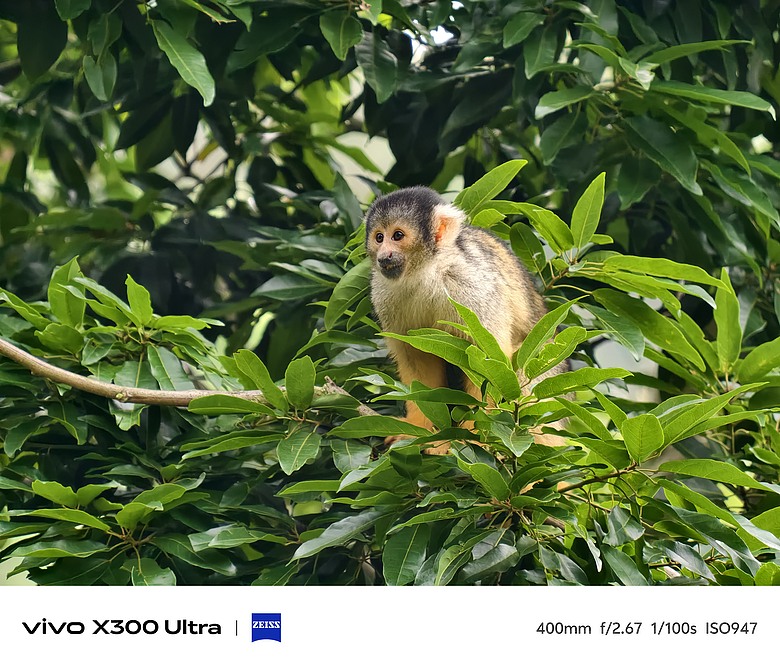 vivo X300 Ultra 評測報告｜不僅效能封頂、更是影像超旗艦！