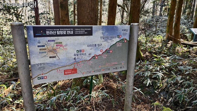 南韓最高峰 | 白雪漢拏山 |濟州島登山行程