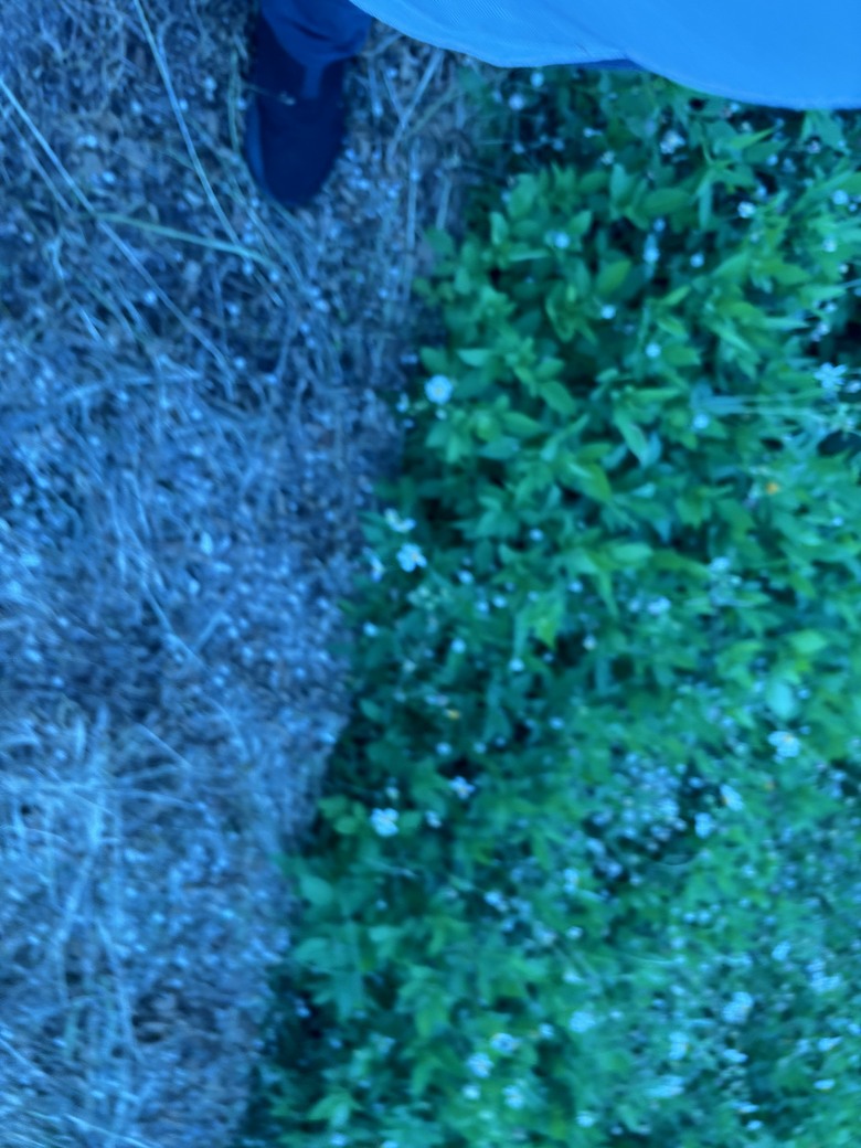你都什麼時候陪孩子騎車呢？下班後的親子騎行，單車上高鐵的暖暖身