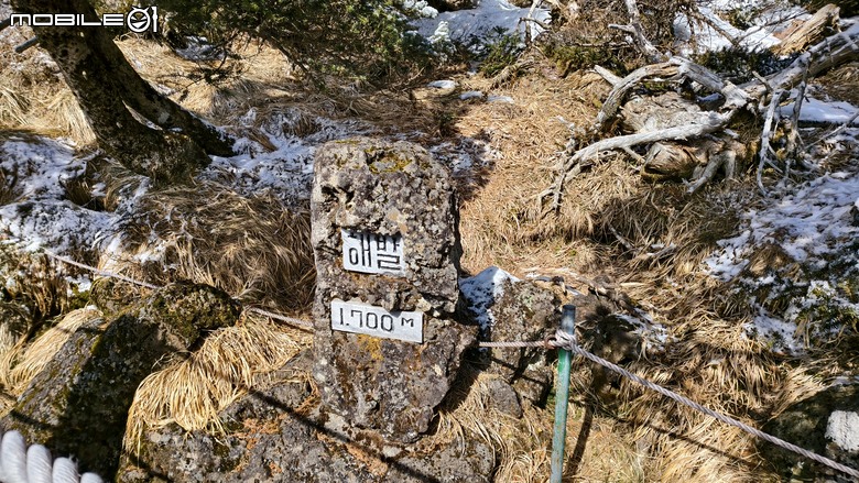 南韓最高峰 | 白雪漢拏山 |濟州島登山行程