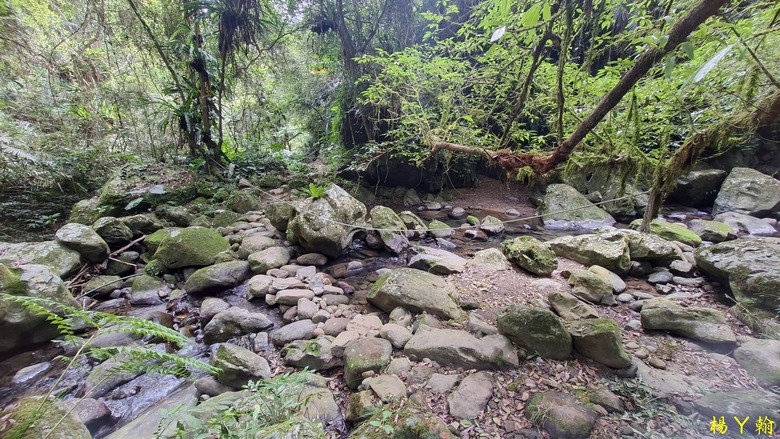 【郊山走走】馬胎古道、馬胎二期古道、南坪古道 山林輕鬆健行