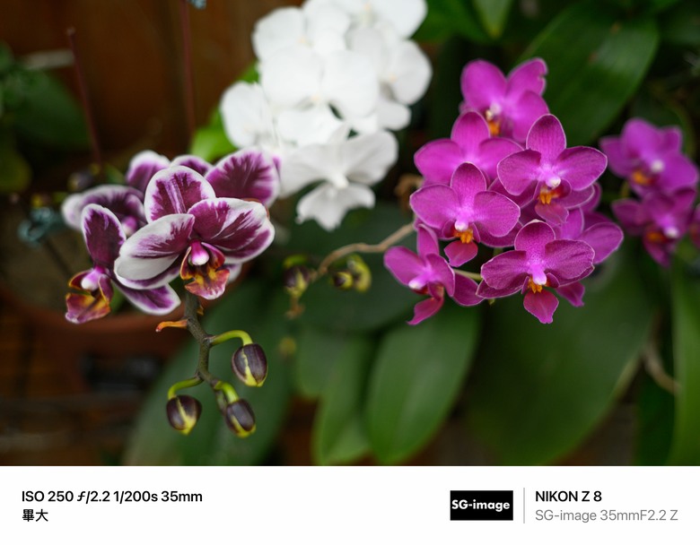 遇見SG-image(深光) 35mm f/2.2 Z mount