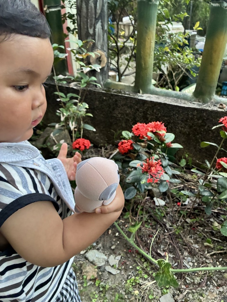 點我看大圖 【小宅開箱】2 歲小孩的新室友!SHARP 小獴友 Poketomo 口袋陪伴機器人開箱領養