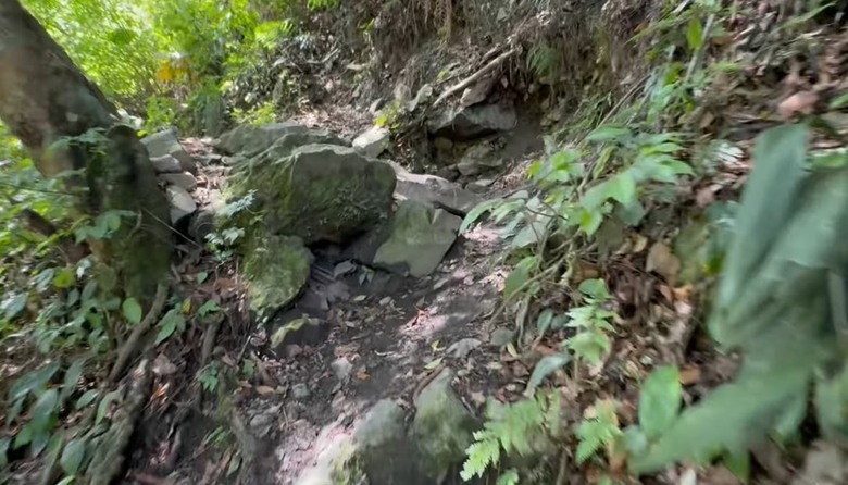 【谷關七雄】等到了！絕美瀑布「蝴蝶谷」步道重新開放！順登唐麻丹山全紀錄！