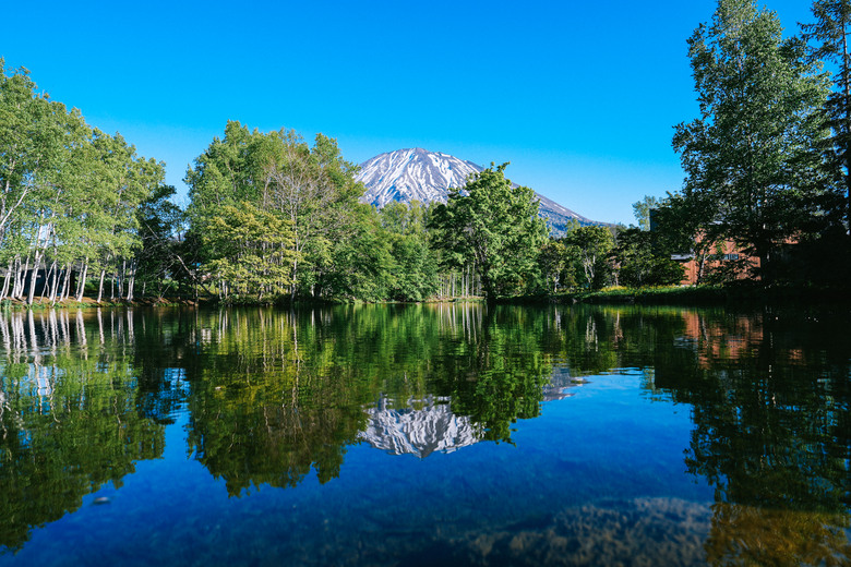 北國之春，北海道8日自駕+騎行(上)【A7m5】