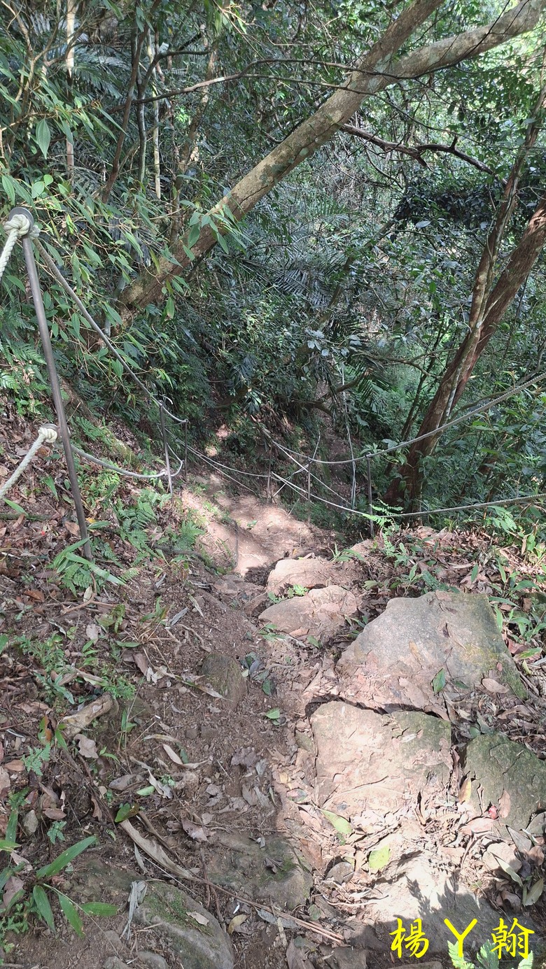 【郊山走走】馬胎古道、馬胎二期古道、南坪古道 山林輕鬆健行