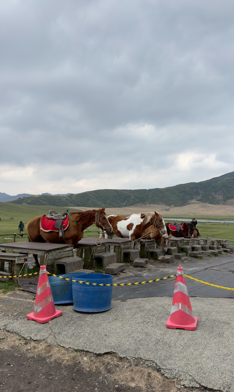 北九州之旅 -福岡篇｜ 別府、阿蘇、熊本城，好吃好玩超滿足