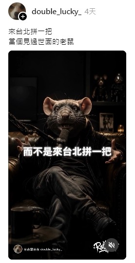 來台北～當個見過世面的老鼠