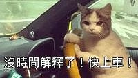 集體瘋狗流!韓散戶比台灣更悍豪賭半導體「寧可賠光也要開槓桿」